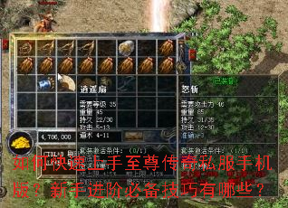 ��ο�������������˽���ֻ��棿���ֽ��ױر���������Щ��