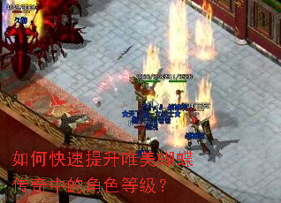 如何快速提升唯美蝴蝶传奇中的角色等级? 如何快速提升唯美蝴蝶传奇中的角色等级?