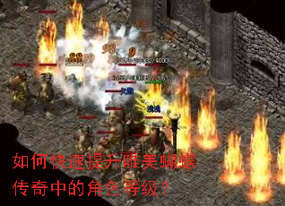 如何快速提升唯美蝴蝶传奇中的角色等级? 如何快速提升唯美蝴蝶传奇中的角色等级?