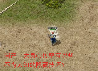 国产十大良心传奇有哪些不为人知的隐藏技巧? 国产十大良心传奇有哪些不为人知的隐藏技巧?