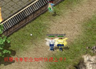 ��������ְҵ��ο������֣�