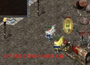 如何征服东部森林的幽冥走廊? 如何征服东部森林的幽冥走廊?