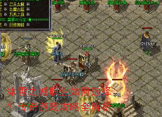 ��ѩ֮��ְҵ���ѡ�񣿴�����Ϸ����ȫ����