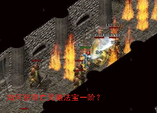 如何获得亡灵曦法宝一阶? 如何获得亡灵曦法宝一阶?