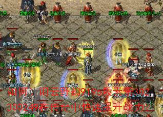 ���������Ұ��9196������302300249�ڴ����п�������ս����