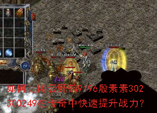 ���������Ұ��9196������302300249�ڴ����п�������ս����