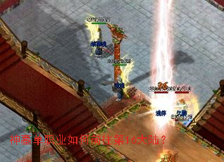 ��Ĺ��ְҵ���ǰ����16��½��