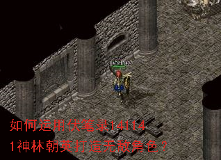 ������÷���¼141141���ֳ�Ӣ�����޵н�ɫ��