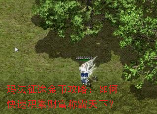 玛法征途金币攻略:如何快速积累财富称霸天下? 玛法征途金币攻略:如何快速积累财富称霸天下?