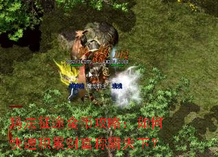 玛法征途金币攻略:如何快速积累财富称霸天下? 玛法征途金币攻略:如何快速积累财富称霸天下?