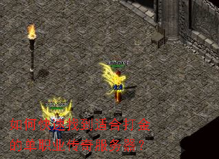 ��ο����ҵ��ʺϴ��ĵ�ְҵ�����������