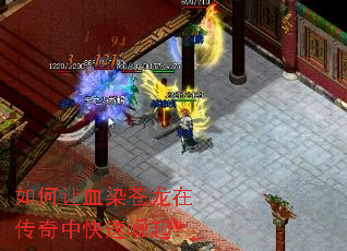 �����ѪȾ�����ڴ����п�������