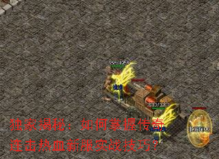 ���ҽ��أ�������մ���������Ѫ�·�ʵս���ɣ�