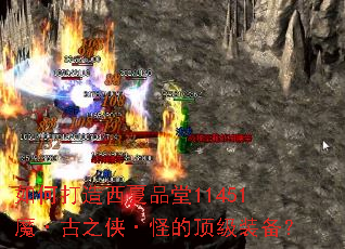 ��δ�������Ʒ��11451ħ����֮�����ֵĶ���װ����