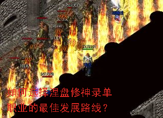 ���ѡ����������¼��ְҵ����ѷ�չ·�ߣ�