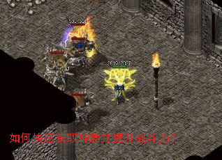 ��ο��ٻ�ȡ����������ս������