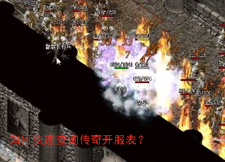 ��ο��ٲ�ѯ���濪������