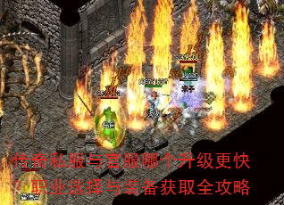 ˽ٷĸ죿ְҵѡװȡȫ