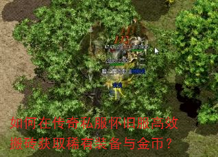 如何在传奇私服怀旧服高效搬砖获取稀有装备与金币? 如何在传奇私服怀旧服高效搬砖获取稀有装备与金币?