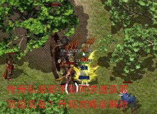 传奇私服新手如何快速获取顶级装备?升级攻略全解析 传奇私服新手如何快速获取顶级装备?升级攻略全解析