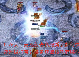 1.76˫˽ο򱦣װȡЩ