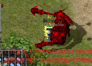 1.76˫˽ο򱦣װȡЩ