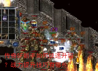 传奇SF新手如何快速升级?战力提升技巧有哪些? 传奇SF新手如何快速升级?战力提升技巧有哪些?