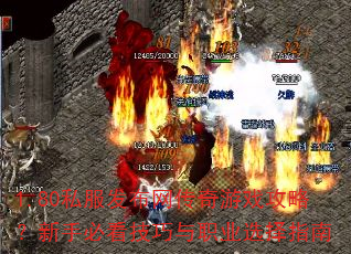 1.80私服发布网传奇游戏攻略?新手必看技巧与职业选择指南 1.80私服发布网传奇游戏攻略?新手必看技巧与职业选择指南