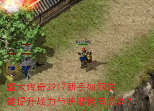盛大传奇3917新手如何快速提升战力与获取稀有装备? 盛大传奇3917新手如何快速提升战力与获取稀有装备?