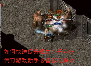 如何快速提升战力?千年SF传奇游戏新手必备技巧解析 如何快速提升战力?千年SF传奇游戏新手必备技巧解析