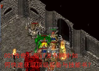 001˽sfοٻȡװ뼼飿