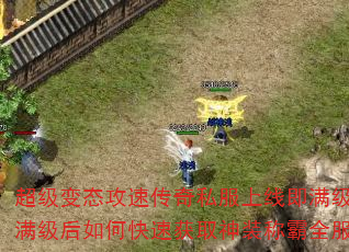 超级变态攻速传奇私服上线即满级?满级后如何快速获取神装称霸全服 超级变态攻速传奇私服上线即满级?满级后如何快速获取神装称霸全服