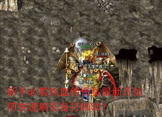 ֱؿѪ˽¿οˢװBOSS