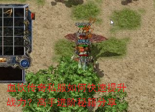 血饮传奇私服如何快速提升战力?高手进阶秘籍分享 血饮传奇私服如何快速提升战力?高手进阶秘籍分享