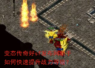 变态传奇好sf发布网新手如何快速提升战力等级? 变态传奇好sf发布网新手如何快速提升战力等级?