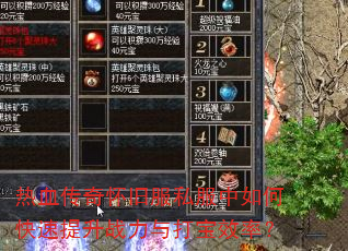 热血传奇怀旧服私服中如何快速提升战力与打宝效率? 热血传奇怀旧服私服中如何快速提升战力与打宝效率?