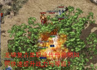 龙啸复古单职业传奇前期如何快速提升战力与等级? 龙啸复古单职业传奇前期如何快速提升战力与等级?