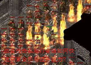 微变传奇私服打金版如何快速积累金币与提升战力? 微变传奇私服打金版如何快速积累金币与提升战力?