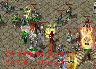 微变传奇私服打金版如何快速积累金币与提升战力? 微变传奇私服打金版如何快速积累金币与提升战力?