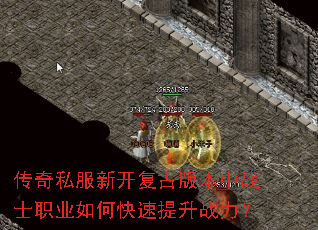 ˽¿Ű汾սʿְҵοս