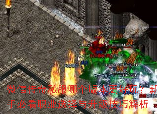 ΢Ŵ˽ĸ汾棿ֱؿְҵѡɽ