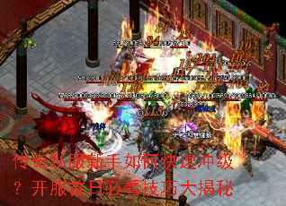 传奇私服新手如何快速冲级?开服首日必看技巧大揭秘 传奇私服新手如何快速冲级?开服首日必看技巧大揭秘