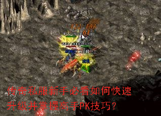 传奇私服新手必看如何快速升级并掌握高手PK技巧? 传奇私服新手必看如何快速升级并掌握高手PK技巧?