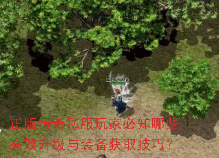 正版传奇私服玩家必知哪些高效升级与装备获取技巧? 正版传奇私服玩家必知哪些高效升级与装备获取技巧?