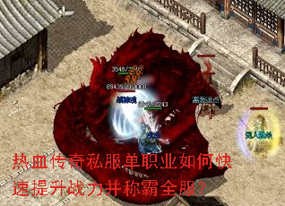 热血传奇私服单职业如何快速提升战力并称霸全服? 热血传奇私服单职业如何快速提升战力并称霸全服?