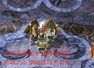 传奇私服新手如何快速提升战力?顶级技巧大公开 传奇私服新手如何快速提升战力?顶级技巧大公开