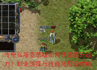 ����˽����̬����ο�������ս����ְҵѡ���뼼�ܴ���ȫ����