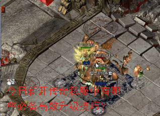 今日新开传奇私服中有哪些必备高效升级技巧? 今日新开传奇私服中有哪些必备高效升级技巧?