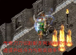 ���浶���и��¿���վ��ο�������ս������ˢװЧ�ʣ�