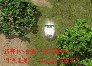 �¿�195�ϻ�����˽������ο��������ϻ������˺�ֵ��